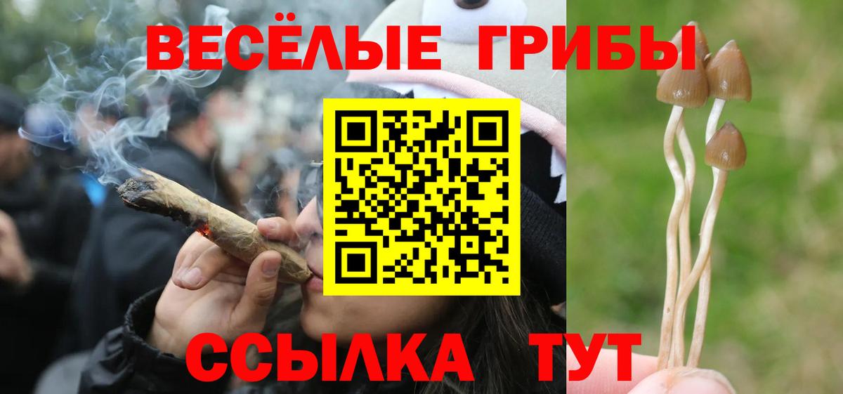 Галлюциногенные грибы мицелий Мыски